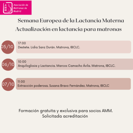 carrusel matronas madrid